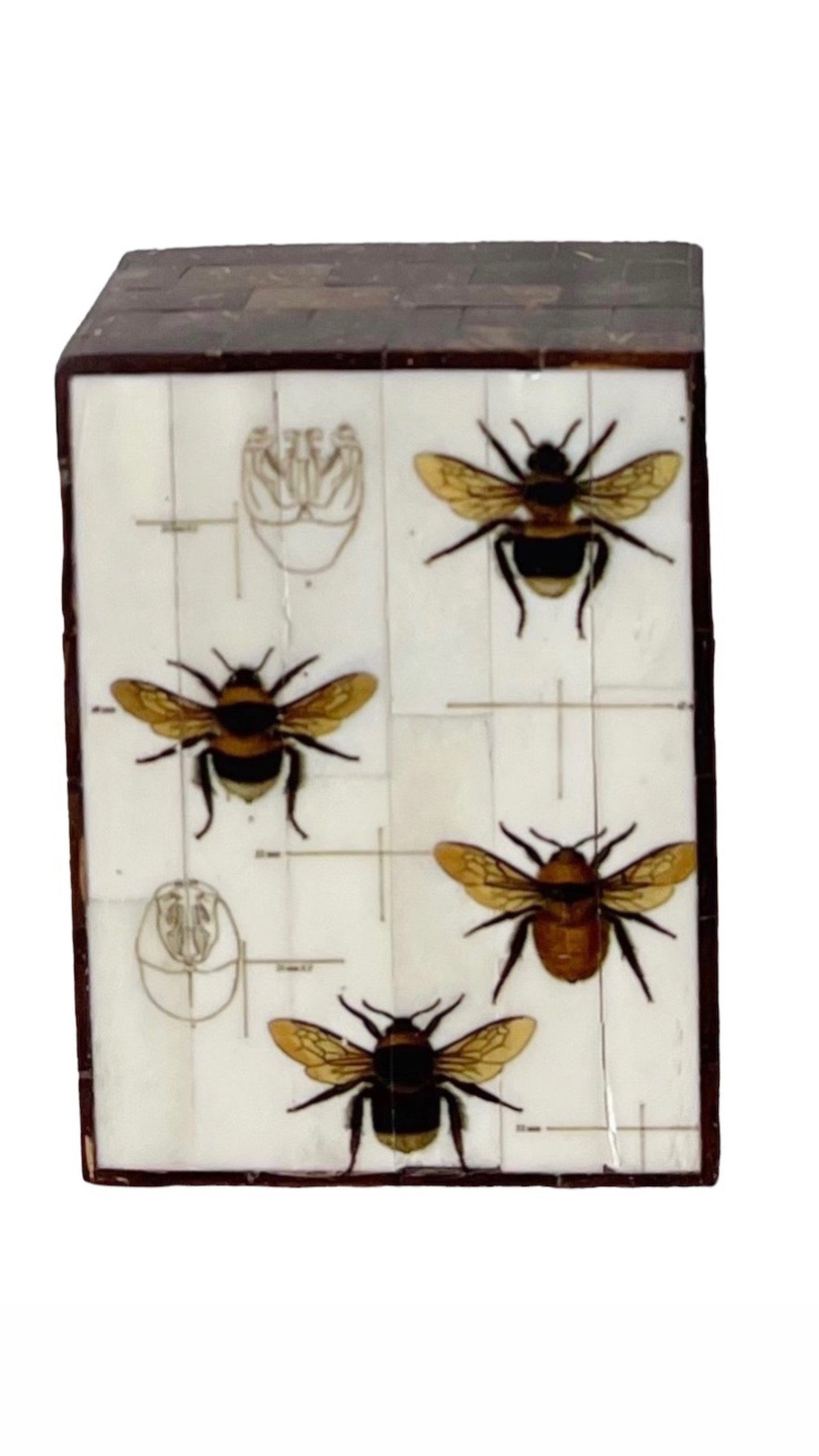 Vintage Coconut Shell Box with Hand-painted Bees