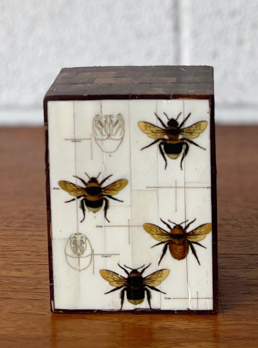 Vintage Coconut Shell Box with Hand-painted Bees